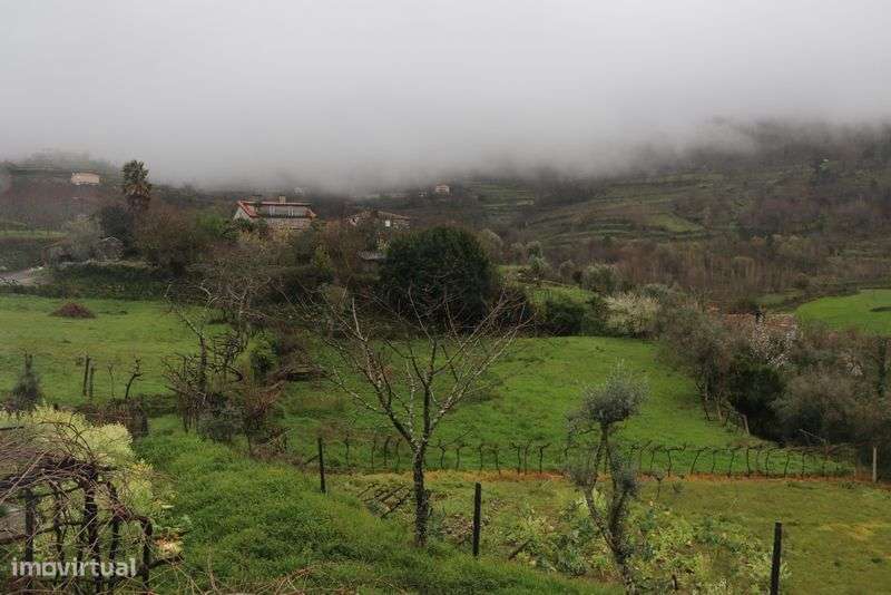 Casa rústica em são Romão de Aregos - Grande imagem: 4/12