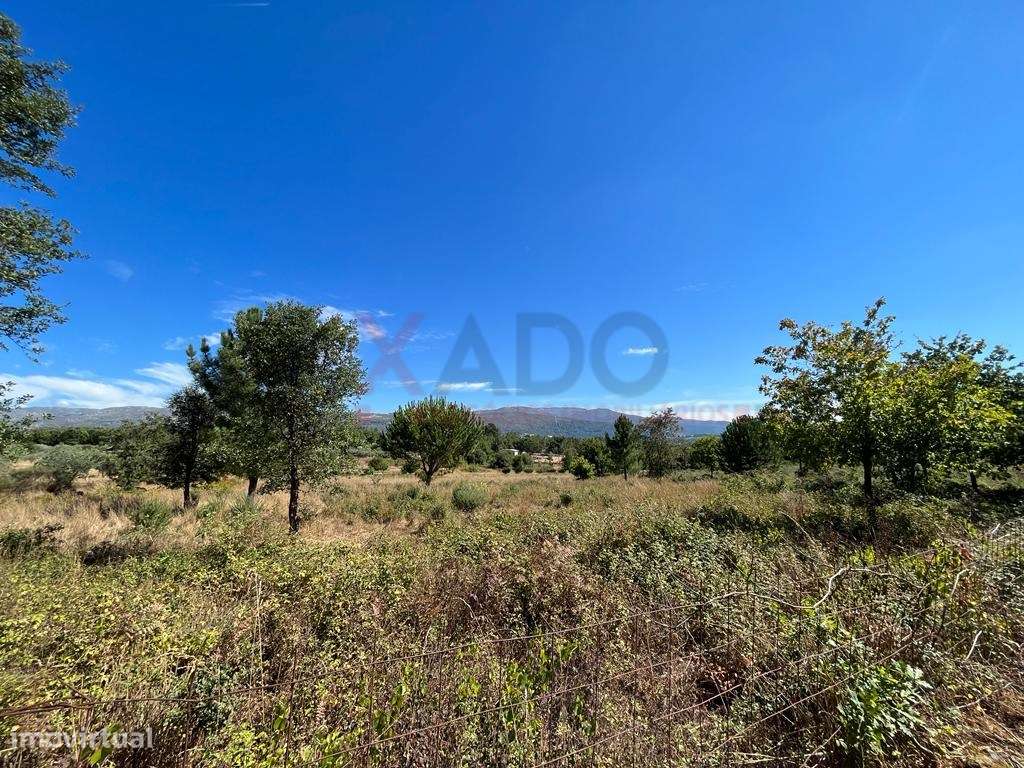 Terreno em Stª Comba de Seia - Grande imagem: 4/7