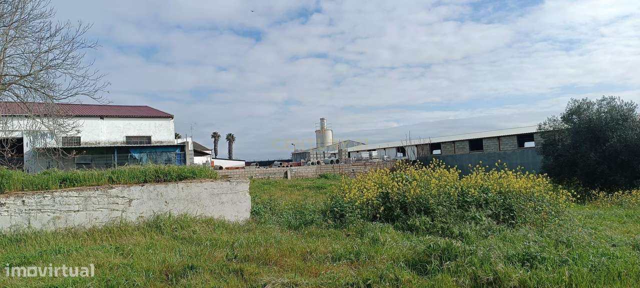 Espetacular Propriedade em Caia, Elvas - 574m² por 315.000€ - Grande imagem: 5/24