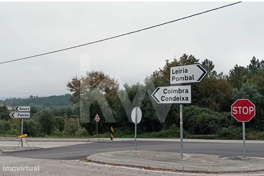 Excepcional Terreno Agrícola com Plantio Ativo de Kiwis, Sistema de Re - Grande imagem: 4/14