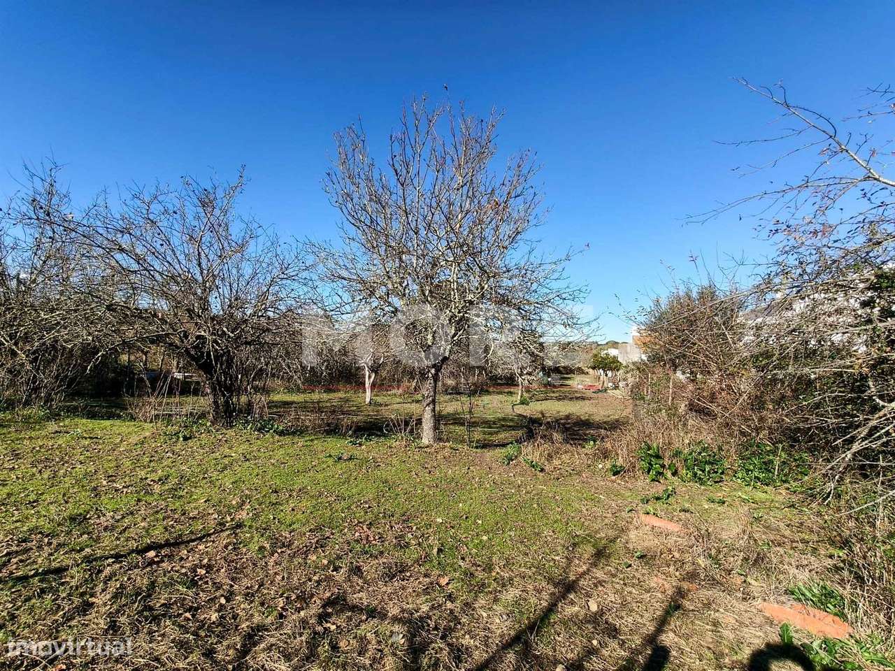 Terreno com 9500 m² – Évora-19