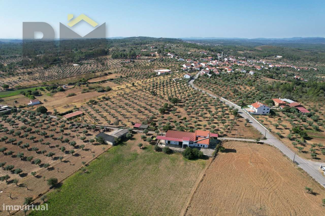 Lagar de Azeite  Venda em Freixial e Juncal do Campo,Castelo Branco - Grande imagem: 4/45