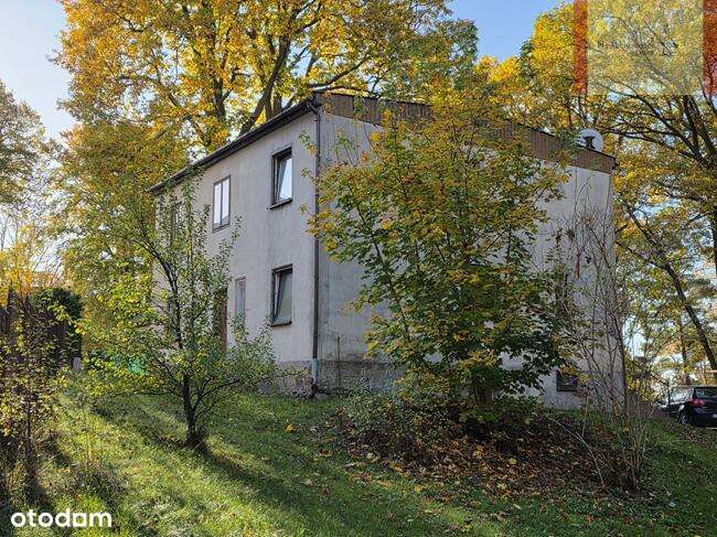 600m od plaży- Jastrzębia Góra (Klonowa)-9