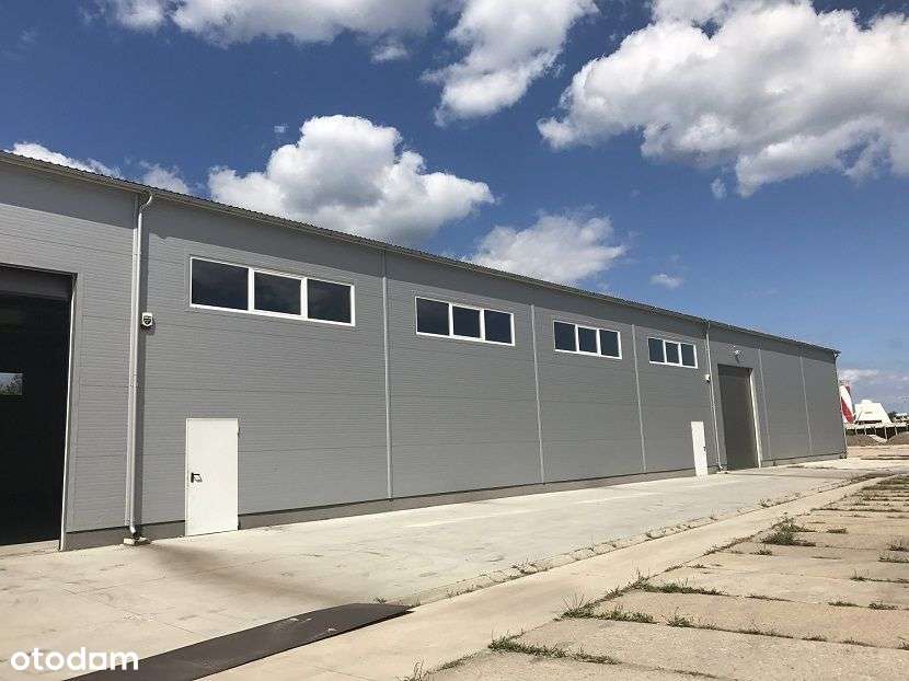 WYNAJEM magazyn 600m2 lub 1200 m2 Elbląska Gdańsk - Pełny obrazek: 4/11