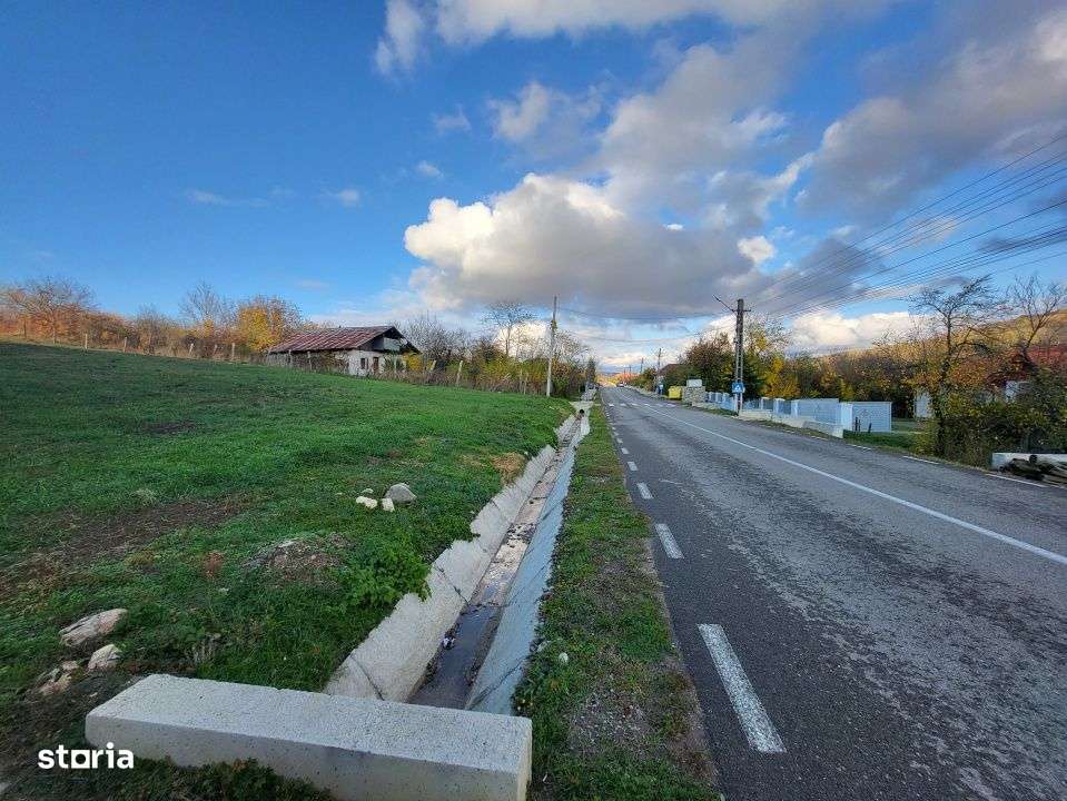 Teren 11.939 mp Balanesti – ideal rezidential/comercial-1