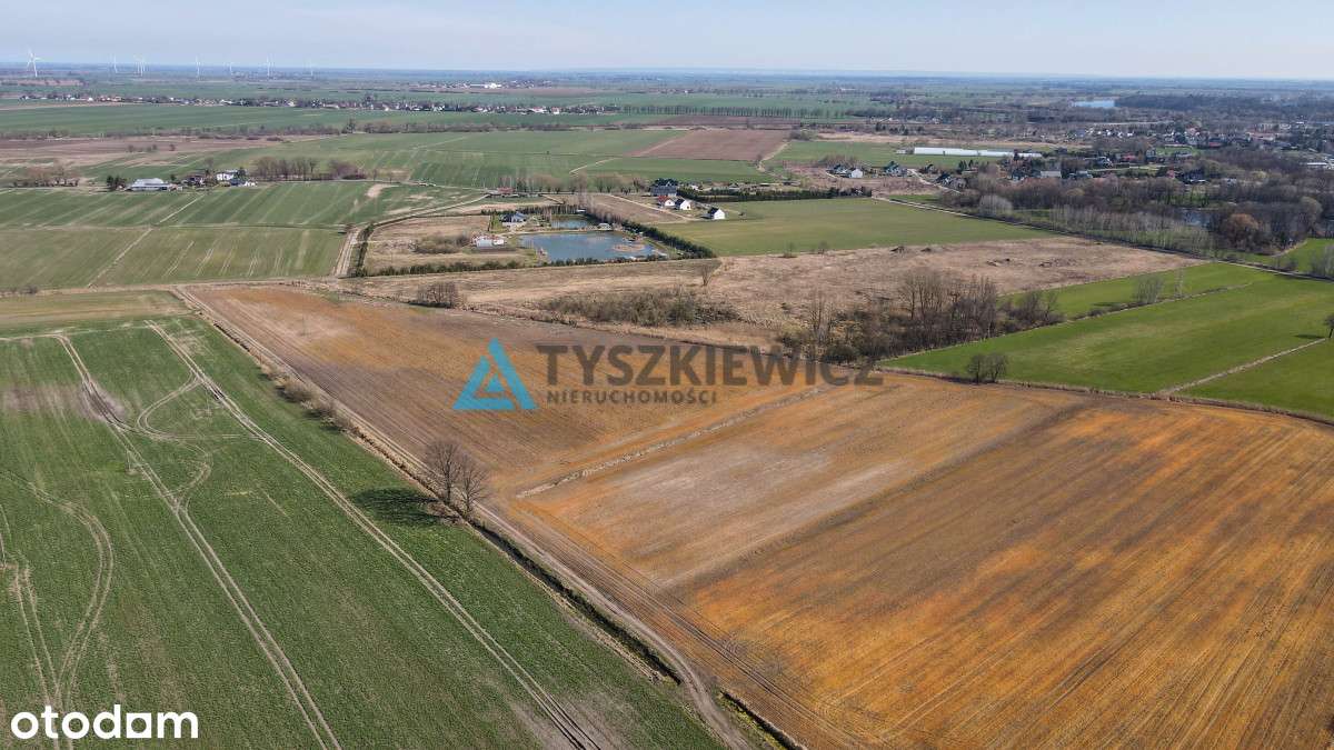 Działka rolna idealna pod uprawy - Cisy, Malbork - Pełny obrazek: 5/11