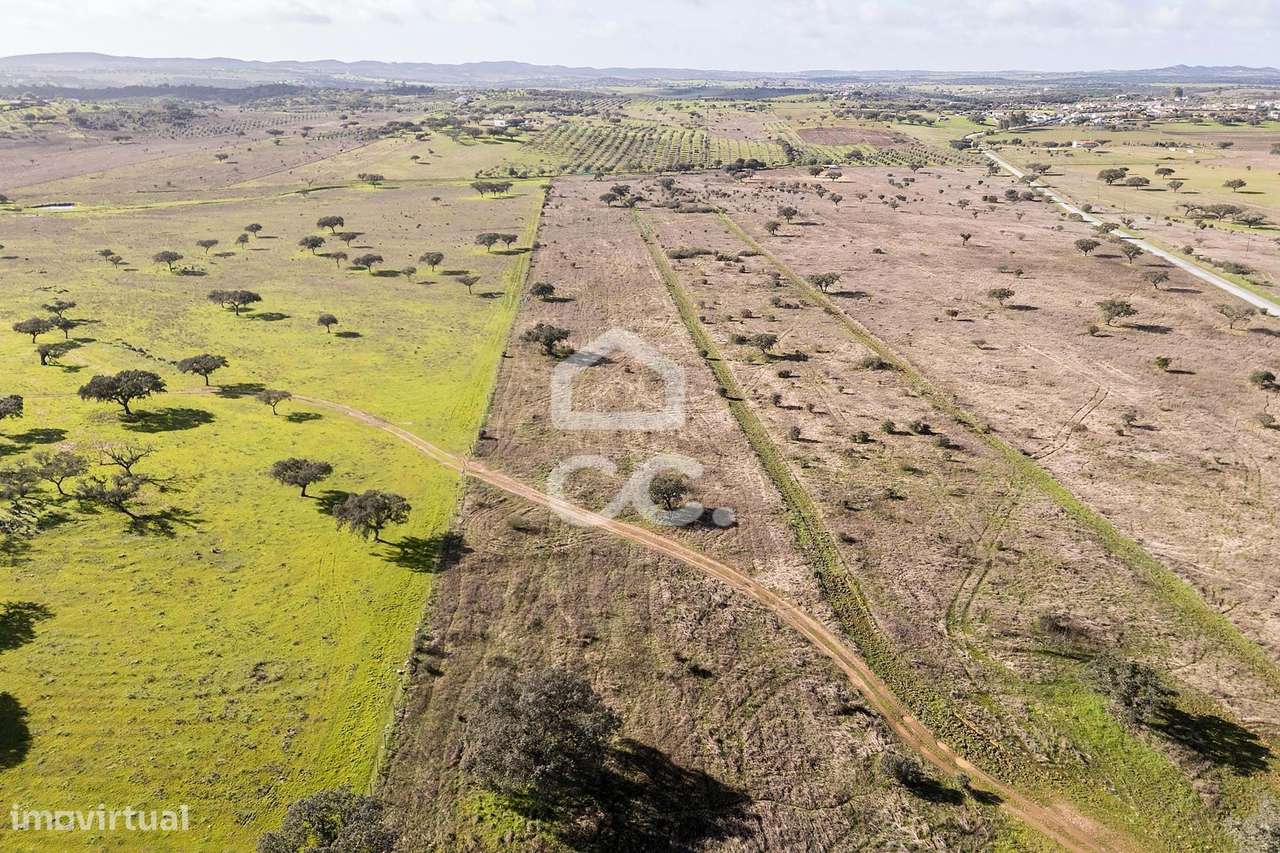 Terreno de 5,4 ha c/ Viabilidade de Construção | Capelins, Alandroal-32