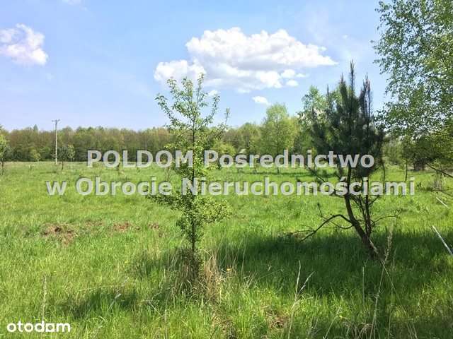 Działka budowlana 7527m2/ Jary k. Obornik Śl.-1