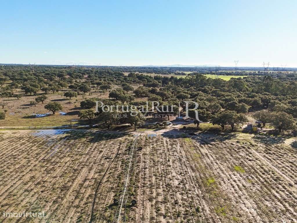 Herdade de 60 hectares para criação bovina e equina perto de Lisboa-11