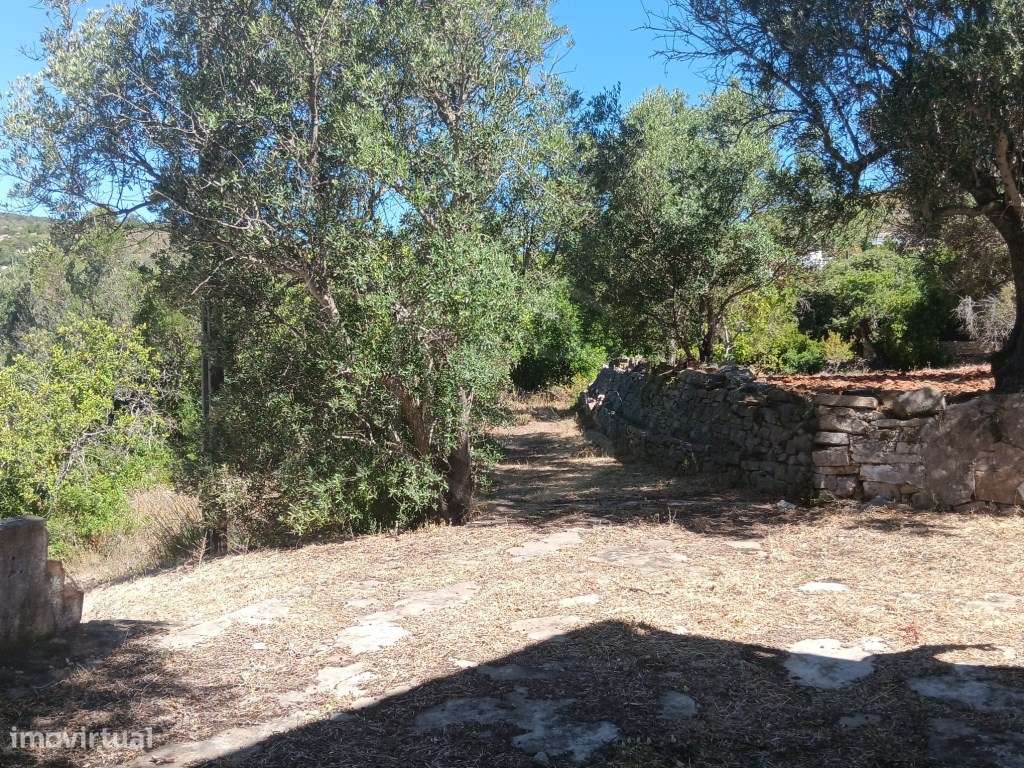 Terreno com ruína, vista mar, Santa Bárbara de Nexe, Faro, Algarve-6