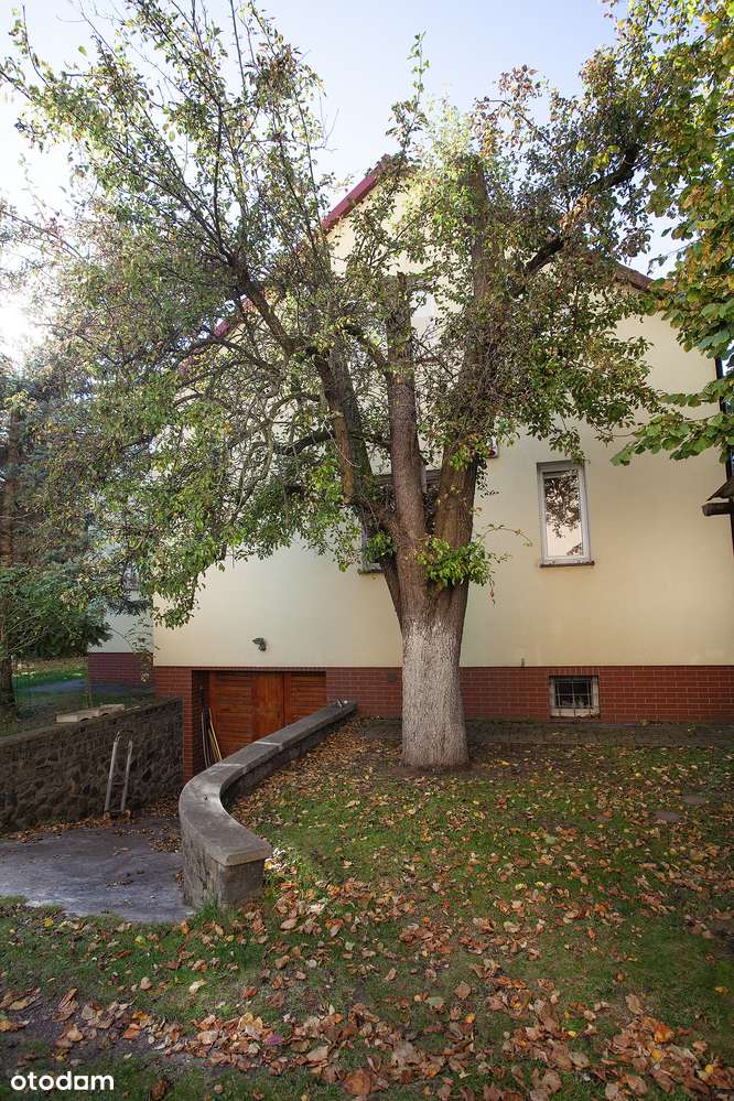 Działka z domem wolnostojącym dla inwestora | ul. Arkońska-11