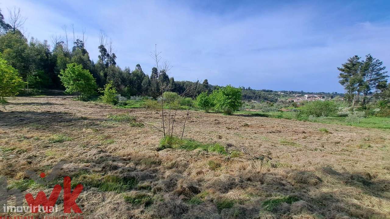 QUINTA cerca 1.5Ha, com CASA PEDRA 100m2, registada como habitação-14