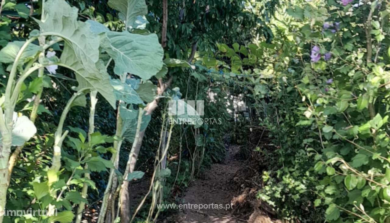 Venda de Terreno para construção, Meadela, Viana do Castelo - Grande imagem: 3/26