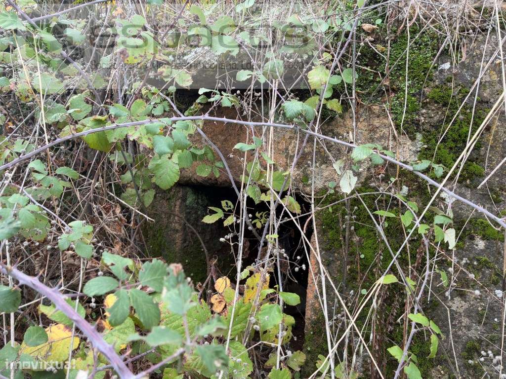 Quinta com casa de Habitação-30