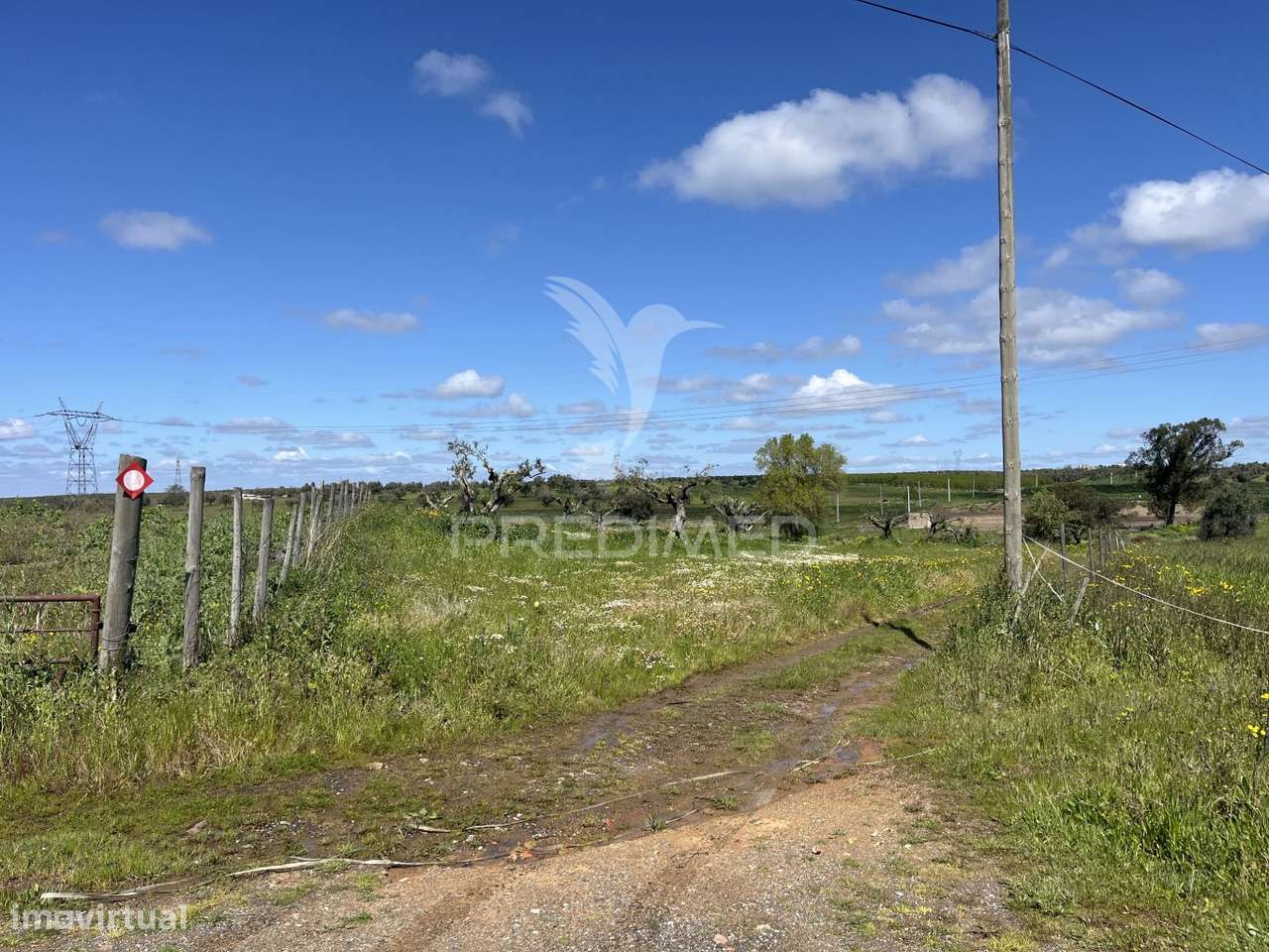 Terreno Rústico de 0,65 Hect - Grande imagem: 5/10