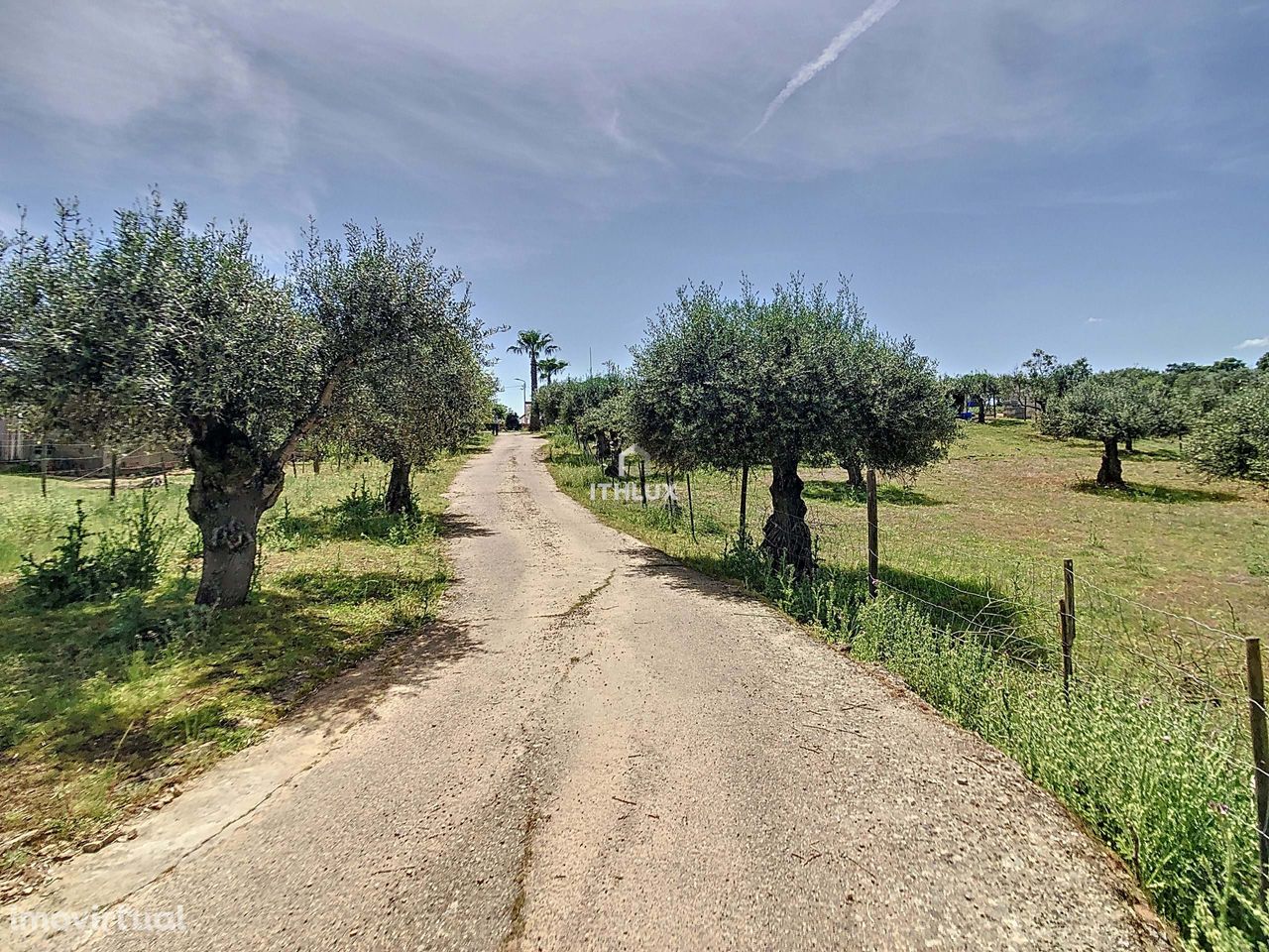 Refúgio Campestre: Quinta de 7000m² com 3 Moradias.