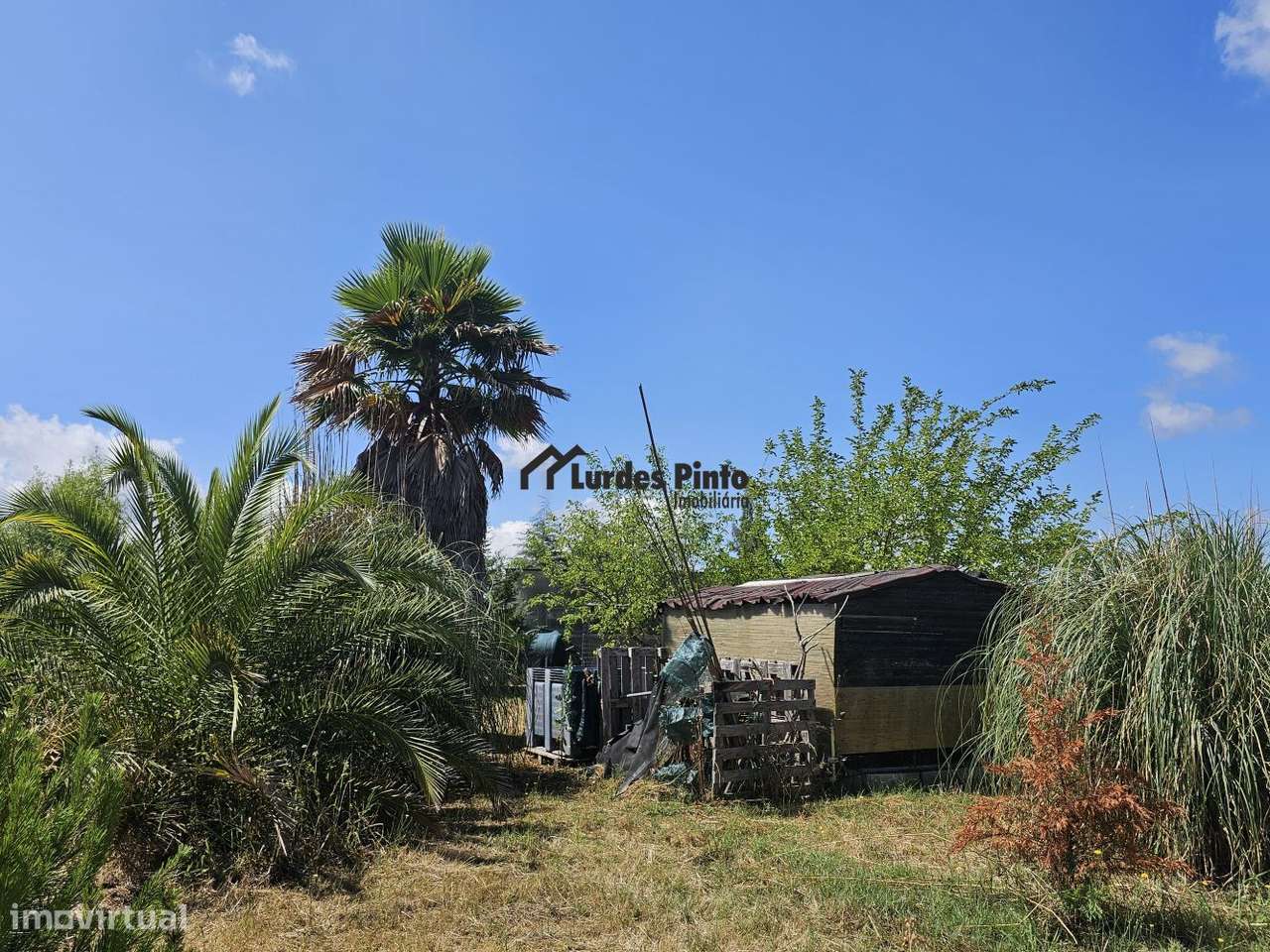 Quinta com habitação-13