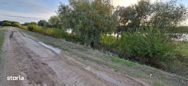 Teren Peceneaga langa Dunare - Imagine principală: 4/4