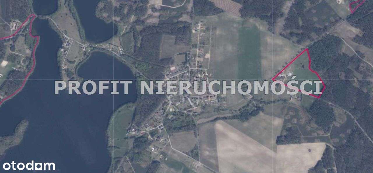 Duże gospodarstwo z zabudowaniami i działkami - Pełny obrazek: 3/20