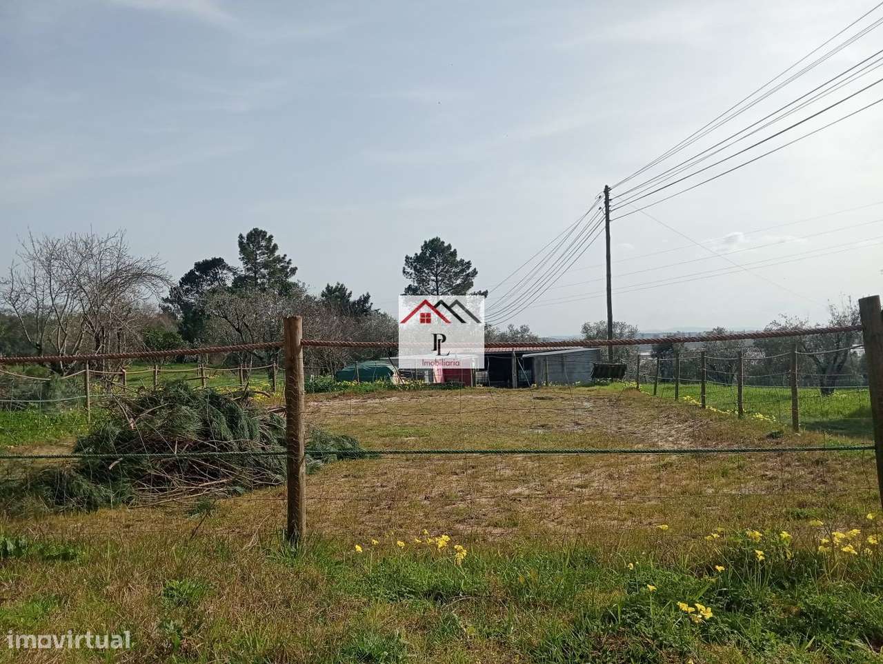 Terreno rustico em Granja de Ançã-14
