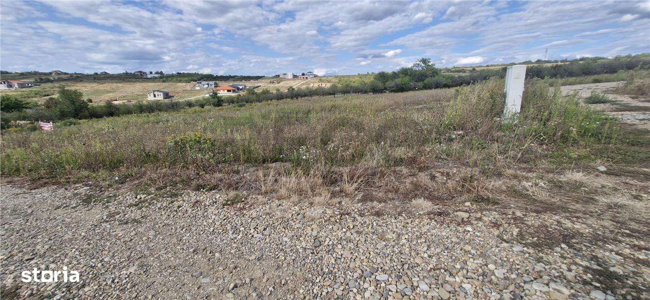 RECO Teren  intravilan in Saldabagiu de Munte - Imagine principală: 2/7