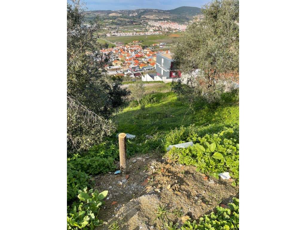 Vende-se Lote de Terreno, em Casal do Freixo, Bairro da Salvação. - Grande imagem: 5/5