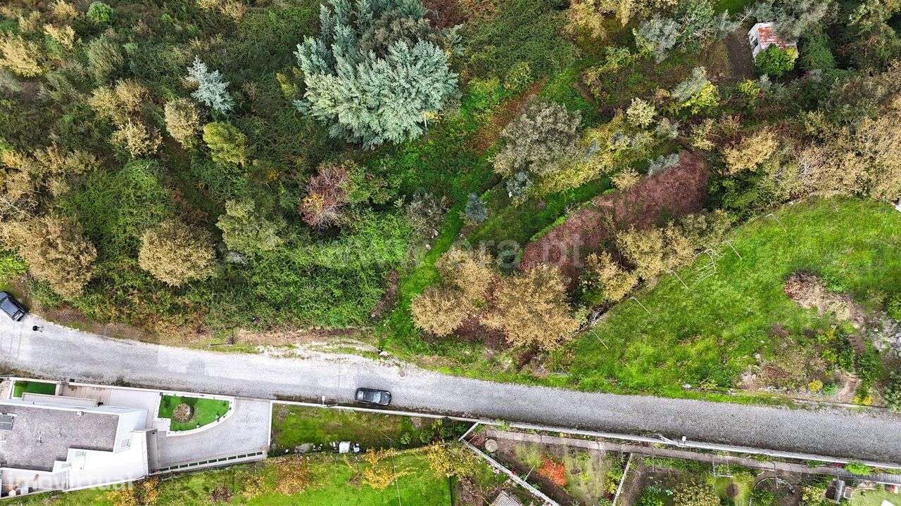 Terreno / Penafiel, Rio de Moinhos - Grande imagem: 2/6