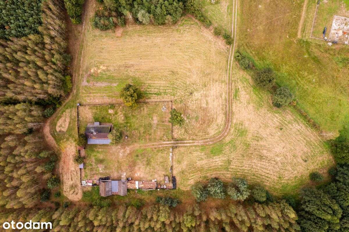 Siedlisko w m. Boruja Nowa-17