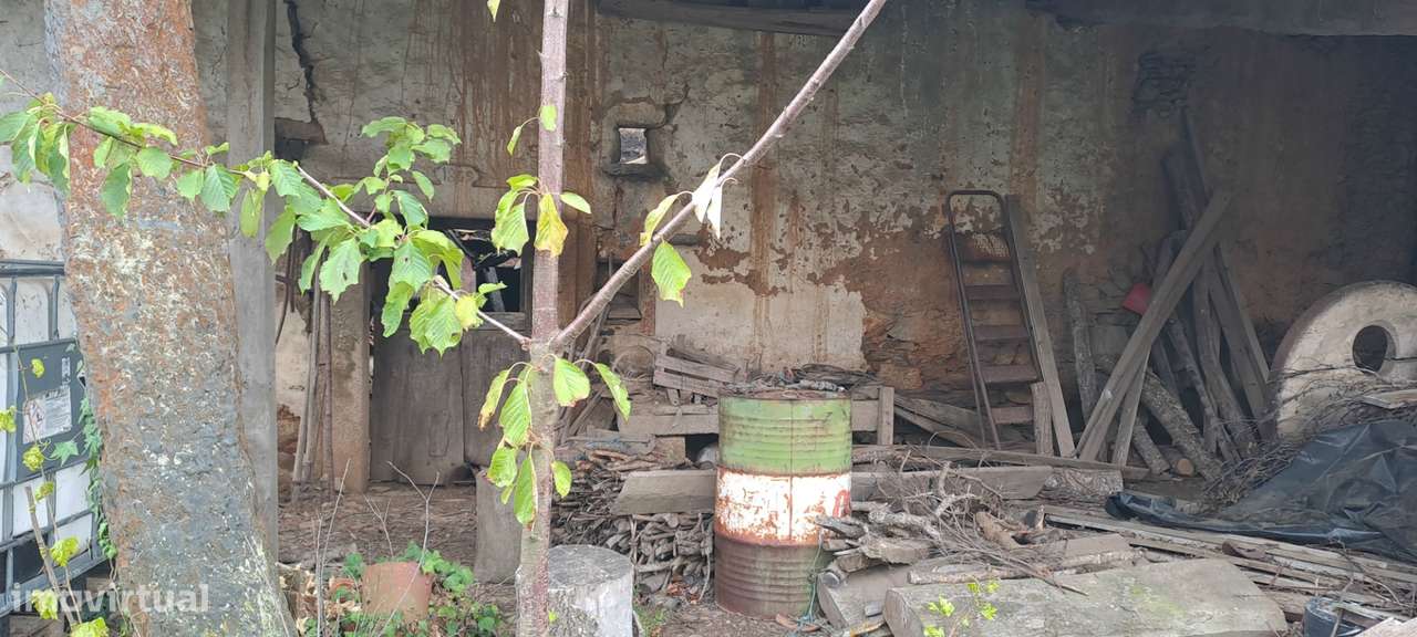 Quinta em Travanca, Mogadouro-21