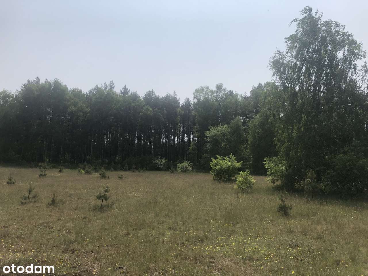 Inwestycyjna przy węźle w Stryszku-8