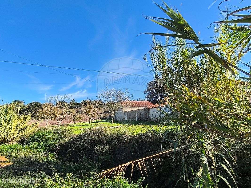 Terreno  para venda - Grande imagem: 4/16