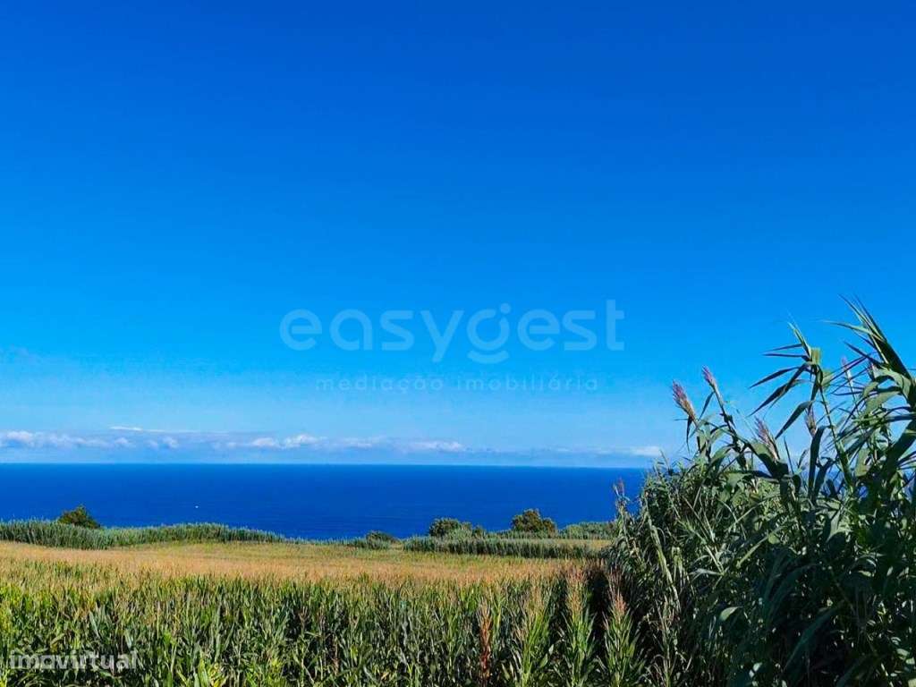 Terreno Rustico com viabilidade de construção -João Bom Da Bretanha - Grande imagem: 4/9