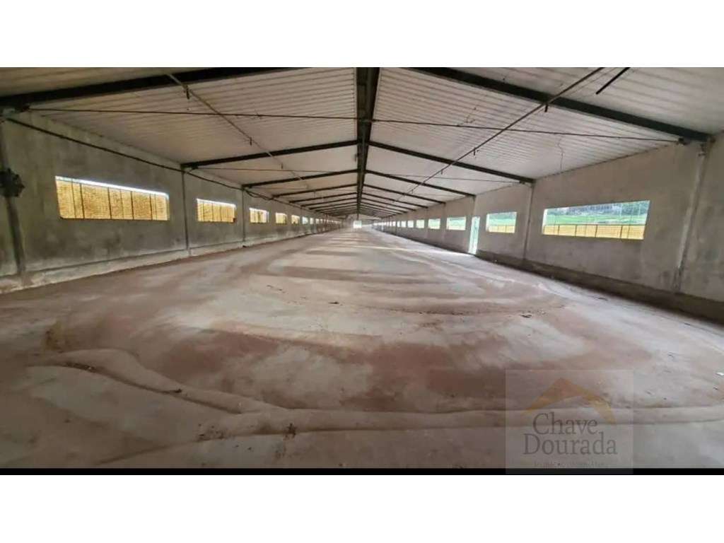 Armazém agrícola arrenda-se com1350m2, em Almalaguês - Grande imagem: 4/7