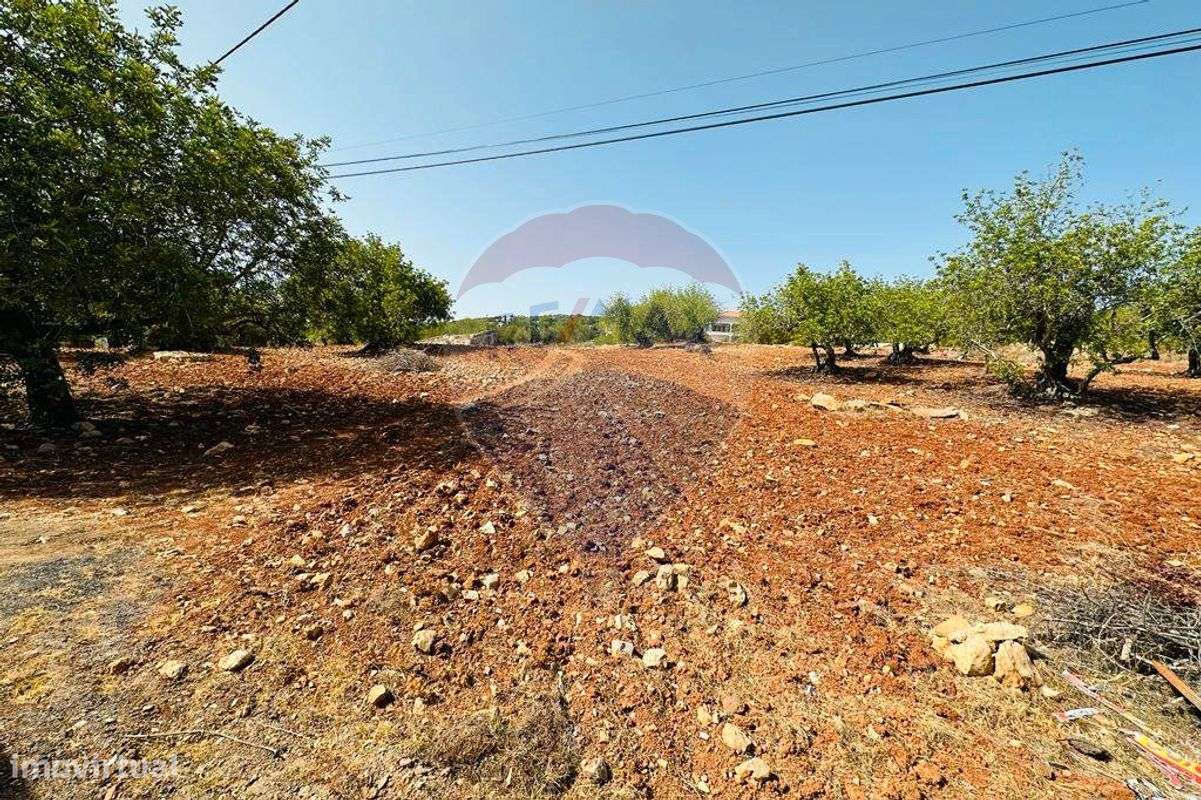 Terreno  para venda - Grande imagem: 2/21