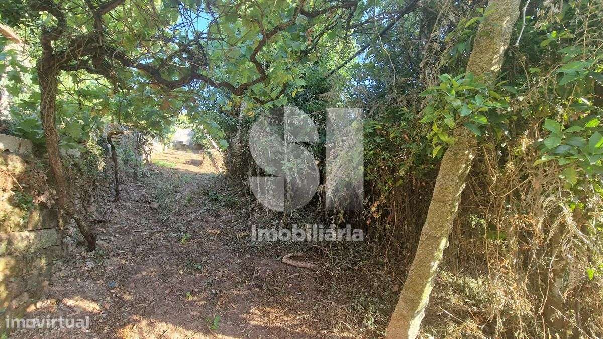 Terreno - potencial de investimento - Astromil - Paredes-28