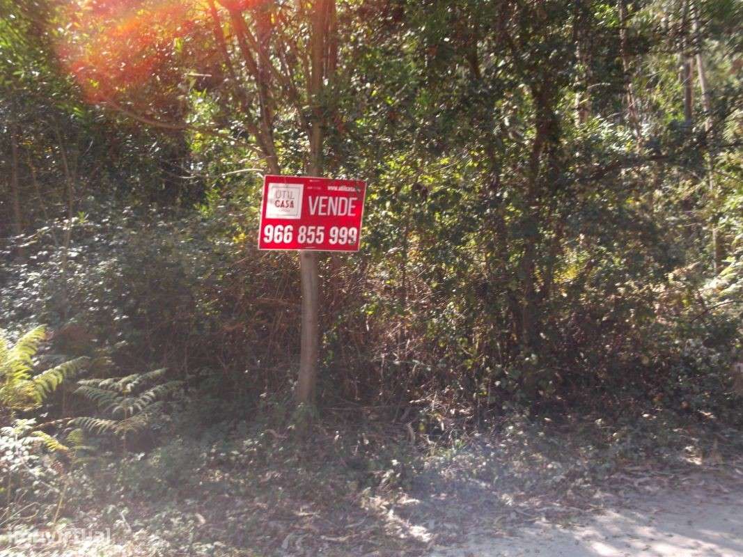 Terreno em Palmeira de Faro - Grande imagem: 4/4