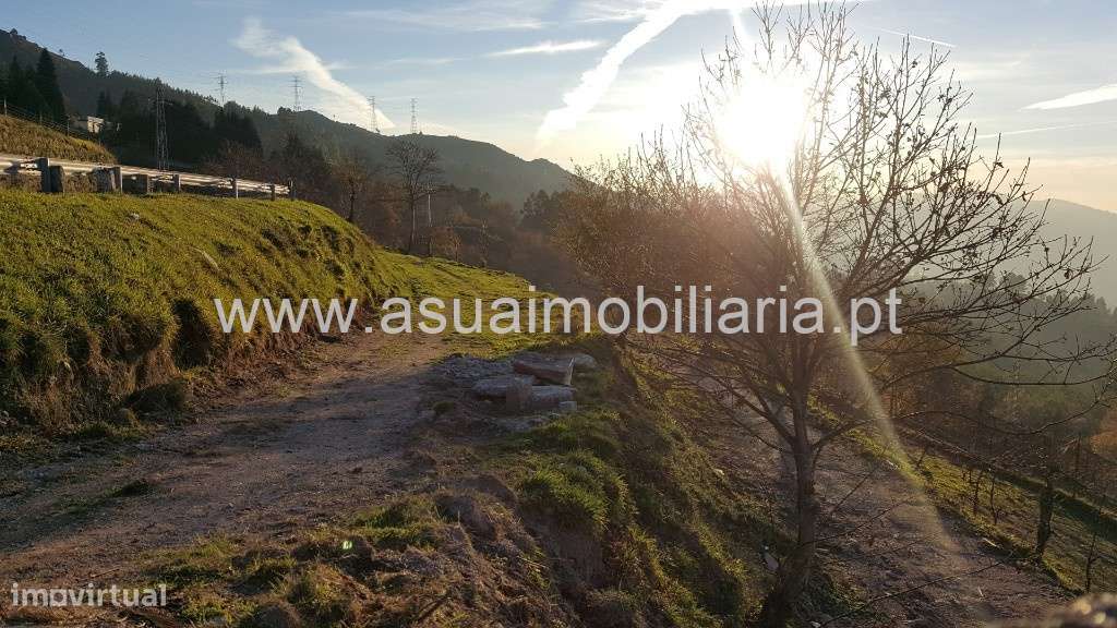 Terreno - Caniçada / Vieira do Minho - Grande imagem: 4/6