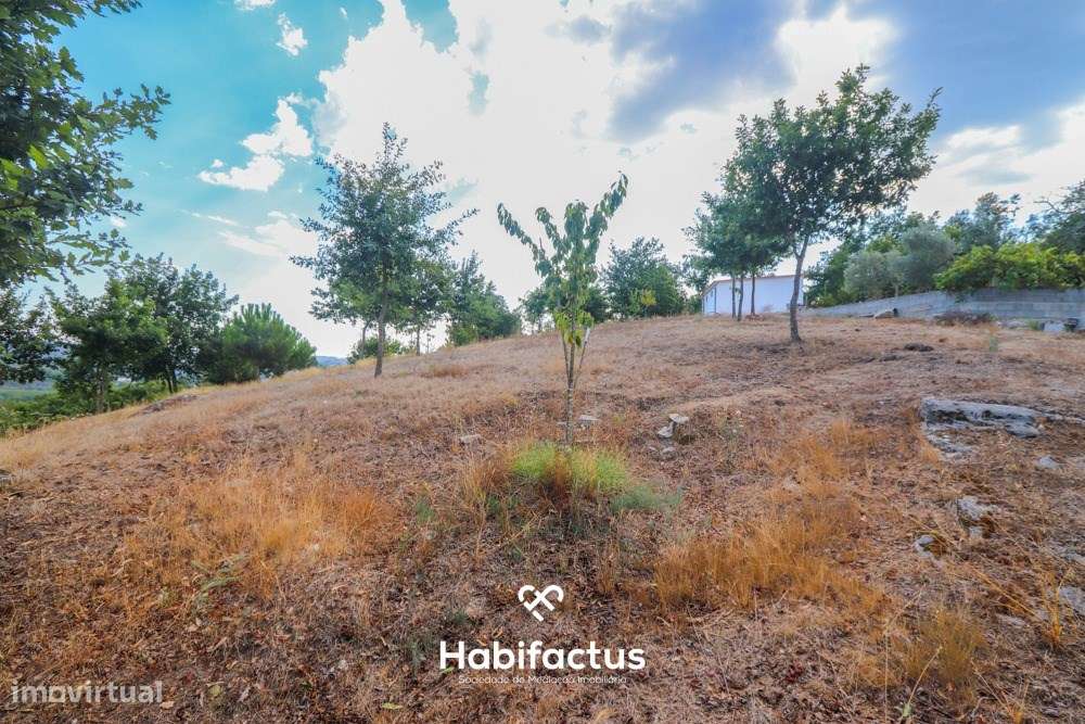 Lote de terreno urbano com 5003 m2 para venda em Santos Êvos-13