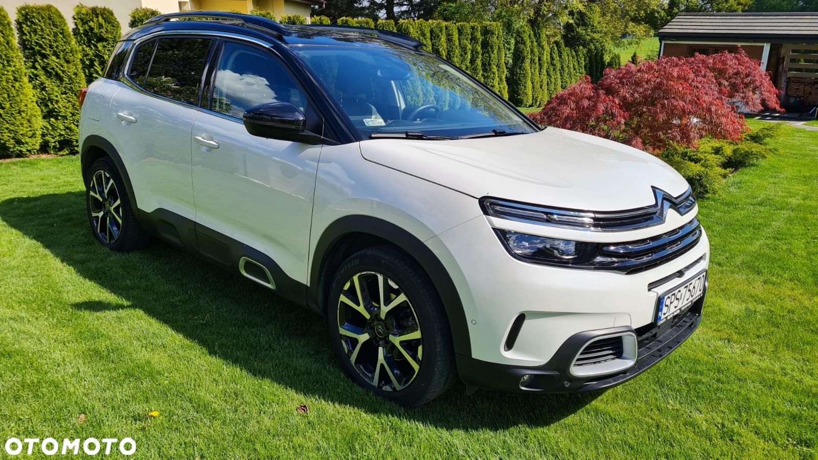 Citroën C5 Aircross 2.0 BlueHDi Shine EAT8 - 1