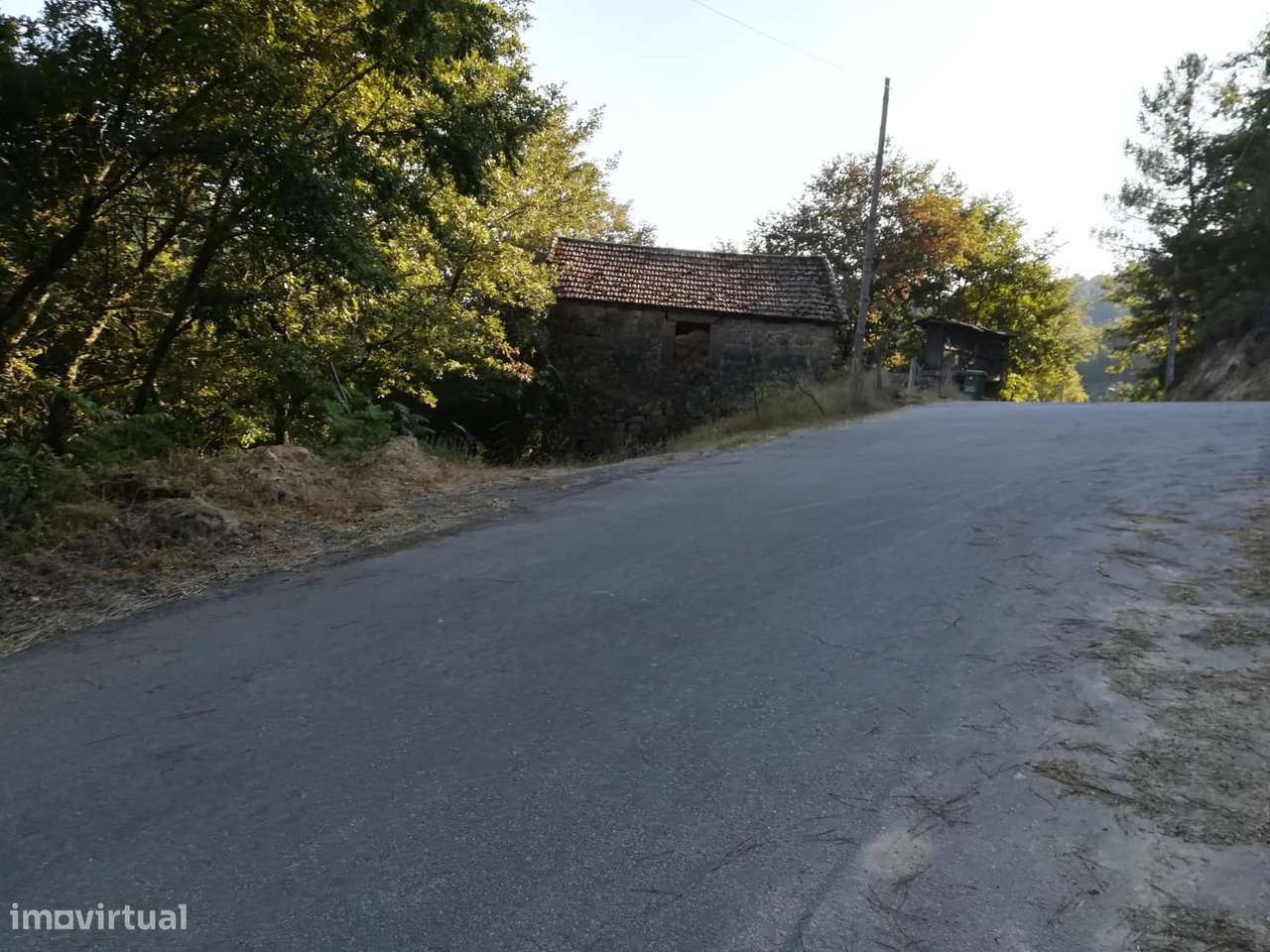Quinta em Ribas - São Pedro do Sul-5