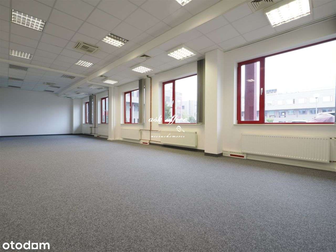 Lokal użytkowy, 84 m², Wrocław