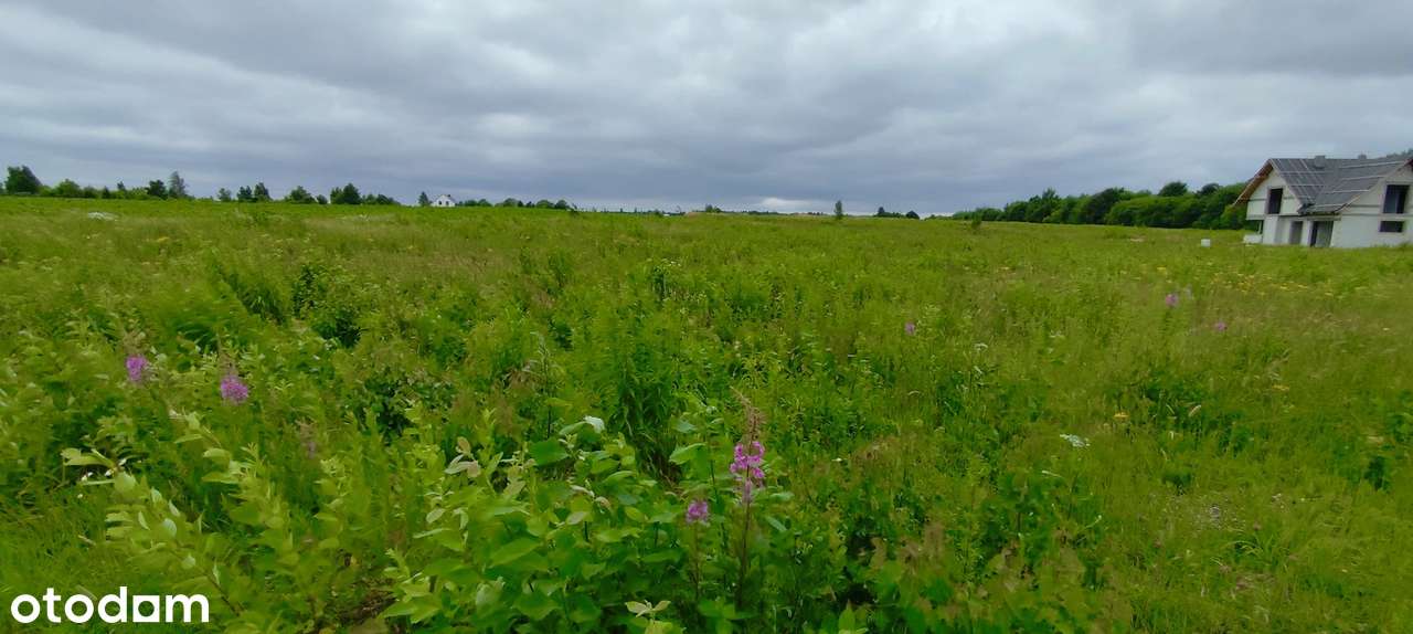 Słoneczna działka z MPZP! - Pełny obrazek: 5/14