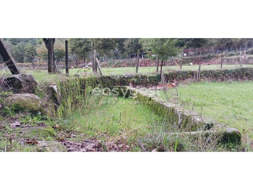 Espetacular terreno com edifício de apoio agrícola-Viseu Portugal - Grande imagem: 4/19