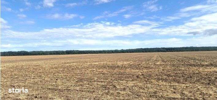 Teren extravilan Branesti, ID: R2649181 - Imagine principală: 4/6