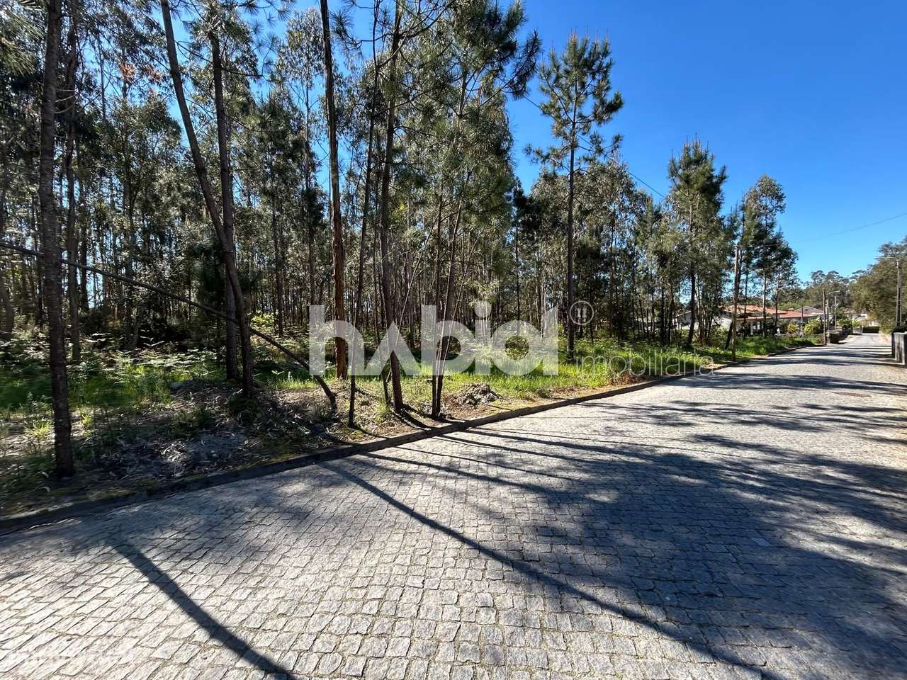 Terreno para construção com PIP em Alvelos, Barcelos - Grande imagem: 3/6