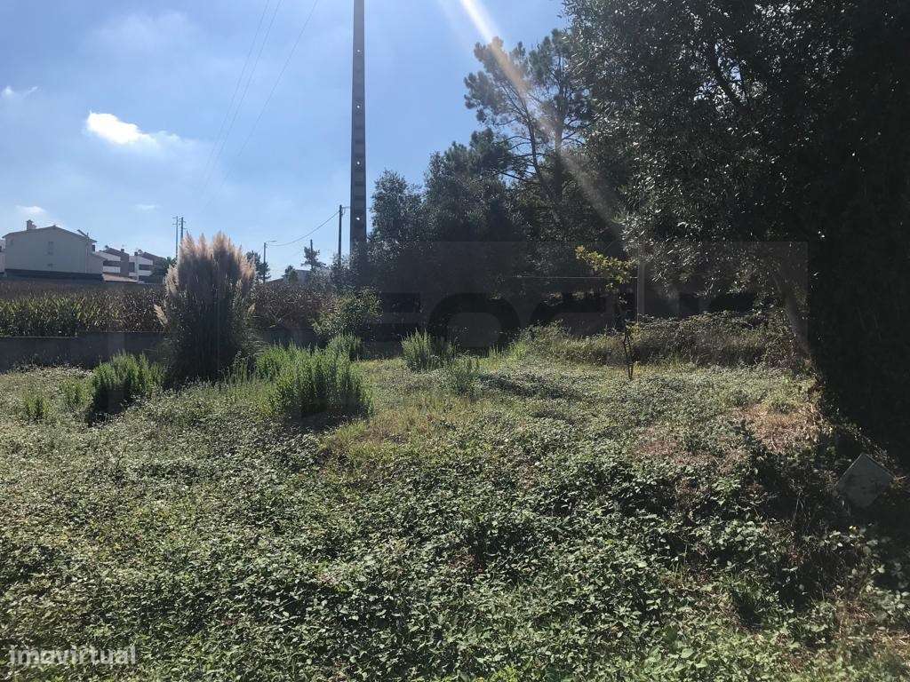 Terreno para construção em altura - Angeja - centro - Grande imagem: 5/7