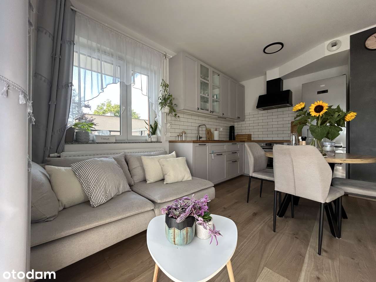 4M z widokiem na ZIELEŃ|balkon_pom.użytkowe_winda|TYLKO U NAS! - Pełny obrazek: 4/20