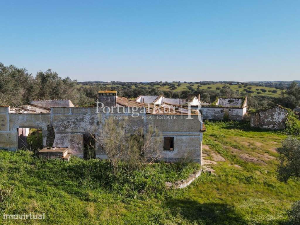 Herdade de 18 hectares perto de Estremoz-33