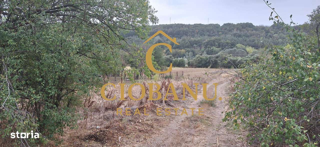 Teren Intravilan/Extravilan de vanzare in Bradestii Batrani-6