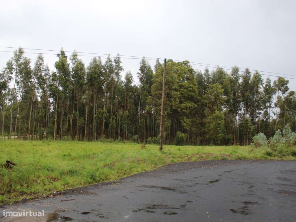 Terreno para construção - Grande imagem: 2/3